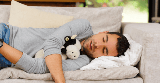How Stuffed Toys Affect Your Sleep - Kyootii